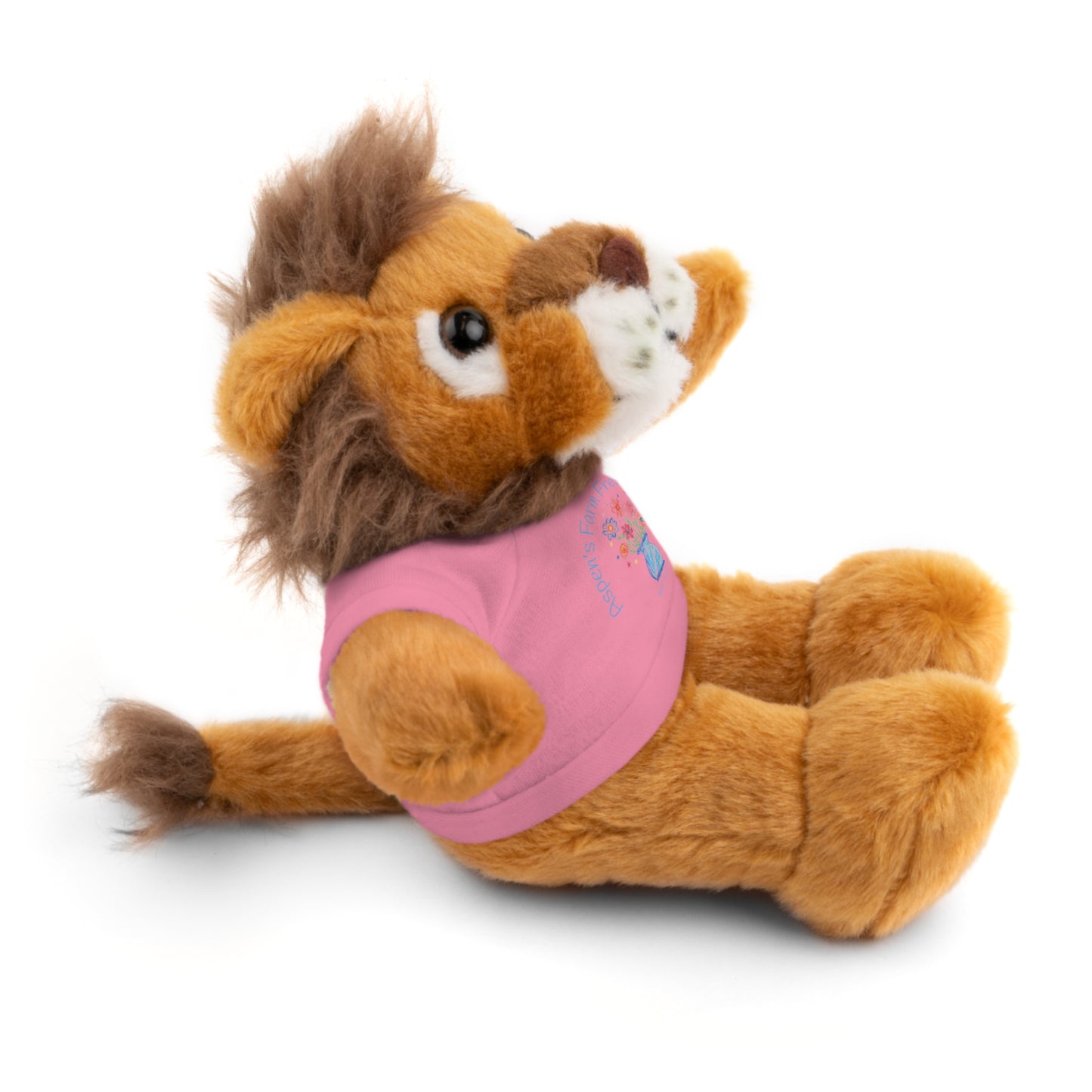 Stuffed Animal with Customized Tee